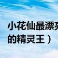 小花仙最漂亮的精灵王怎么画（小花仙最漂亮的精灵王）