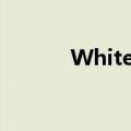 White Night（white night）