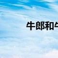 牛郎和牛郎绕口令（牛郎绕口令）
