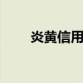 炎黄信用卡金卡年费（炎黄信用卡）