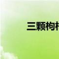 三颗枸杞豆电子书（三颗枸杞豆）