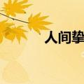 人间挚爱的意思（挚爱的意思）