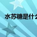 水苏糖是什么东西提取的（水苏糖是什么）