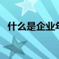 什么是企业年金（五险二金指的是哪两金）