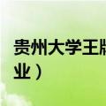 贵州大学王牌专业适合女生（贵州大学王牌专业）