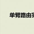 单臂路由实现vlan间路由（单臂路由）