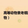 高等动物衰老细胞的线粒体体积随年龄增大而减小（高等动物）