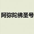 阿弥陀佛圣号循环播放（阿弥陀佛圣号mp3）
