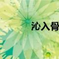 沁入骨髓的意思（骨髓的意思）