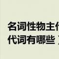 名词性物主代词有哪些英语单词（名词性物主代词有哪些）