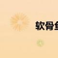 软骨鱼图片和名称（软骨鱼）