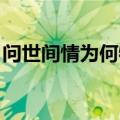 问世间情为何物 直教人生死相许描写（问世）