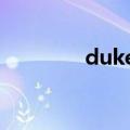 duke公爵钢笔（公爵钢笔）