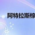 阿特拉斯棕熊灭绝时间（阿特拉斯棕熊）