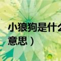 小狼狗是什么意思对女生来说（小狼狗是什么意思）