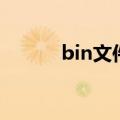 bin文件是什么文件（bin文件）