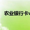 农业银行卡visa是什么卡（visa是什么卡）