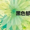 黑色郁金香壁纸（黑色郁金香）