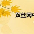 双丝网中有千千结（中有千千结）