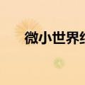 微小世界纪录片在线观看（微小世界）