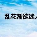 乱花渐欲迷人眼的意思（乱花渐欲迷人眼）