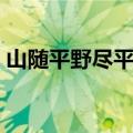 山随平野尽平野的意思（山随平野尽下一句）