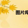 图片库素材网（123rf图片库）
