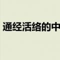 通经活络的中药材有哪些（通经活络的中药）