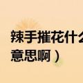 辣手摧花什么意思举个例子（辣手摧花是什么意思啊）