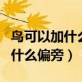 鸟可以加什么偏旁还可以组什么词（鸟可以加什么偏旁）