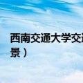 西南交通大学交通运输专业就业前景（交通运输专业就业前景）