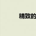 精致的反义词（禁止的反义词）
