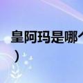 皇阿玛是哪个朝代的称呼（皇阿玛是什么意思）