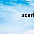 scarl和scarh区别（scar l）