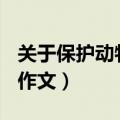 关于保护动物的作文800字（关于保护动物的作文）