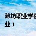 潍坊职业学院专业学费（潍坊职业学院所有专业）