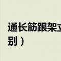 通长筋跟架立筋的区别（架立筋与通长筋的区别）