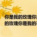 你是我的玫瑰你是我的花你是我的爱人是我的牵挂（你是我的玫瑰你是我的花）