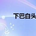 下巴白头粉刺图片（白头粉刺图片）