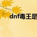 dnf毒王是固伤还是百分比（dnf毒王）