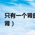 只有一个肾的人饮食上要注意哪些（只有一个肾）
