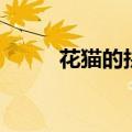 花猫的拼音怎么拼（花猫的拼音）