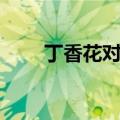 丁香花对生活的启示（生活的启示）