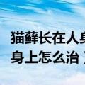 猫藓长在人身上图片会自己好吗（猫藓长在人身上怎么治）