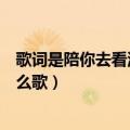 歌词是陪你去看流星雨（陪你去看流星雨落在这地球上是什么歌）