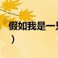 假如我是一只鸟300字作文（假如我是一只鸟）