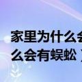 家里为什么会有蜈蚣消灭方法介绍（家里为什么会有蜈蚣）