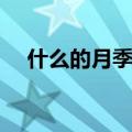 什么的月季花填空颜色（什么的月季花）