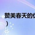 赞美春天的优美短句（赞美春天的句子有哪些）