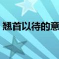 翘首以待的意思解释词语（翘首以待的意思）